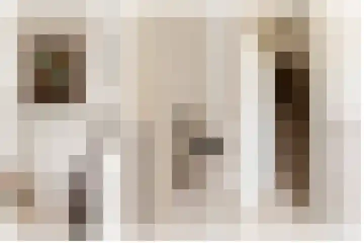 Meergraaf 19 Zoelen thumbnail 18