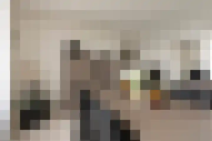 Meergraaf 19 Zoelen thumbnail 21