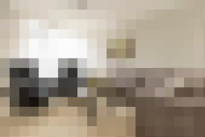 Meergraaf 19 Zoelen thumbnail 24