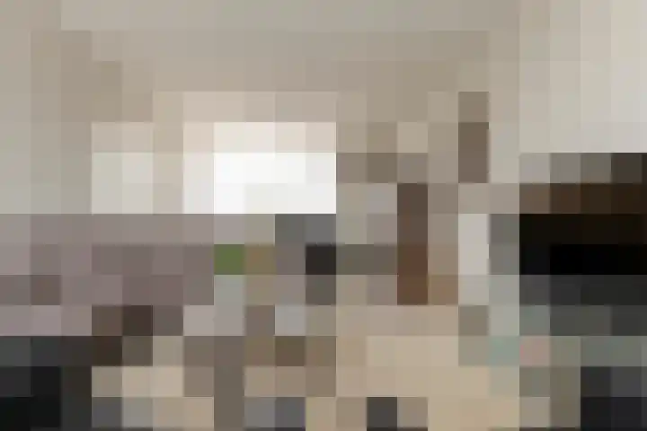 Meergraaf 19 Zoelen thumbnail 26