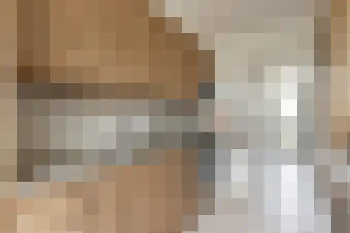 Meergraaf 19 Zoelen thumbnail 30