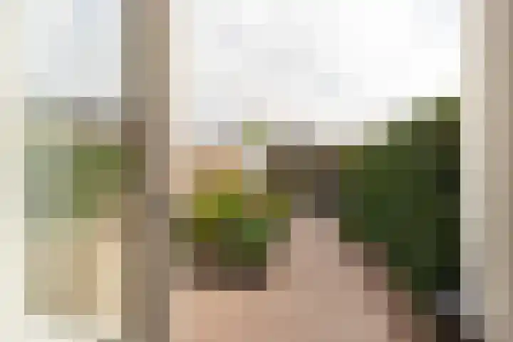 Meergraaf 19 Zoelen thumbnail 32