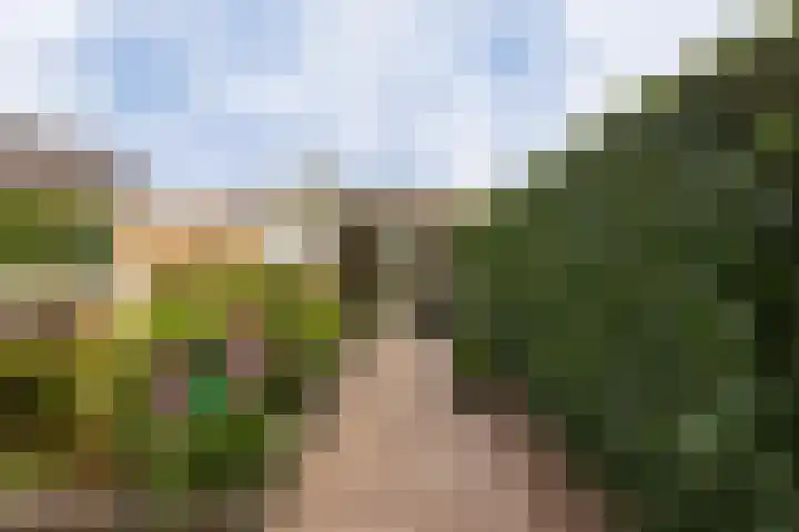 Meergraaf 19 Zoelen thumbnail 33