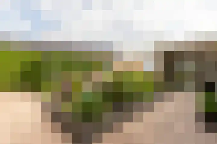 Meergraaf 19 Zoelen thumbnail 34