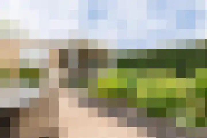Meergraaf 19 Zoelen thumbnail 36