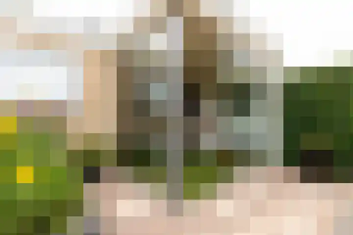 Meergraaf 19 Zoelen thumbnail 37
