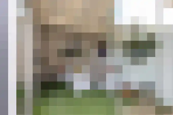 Meergraaf 19 Zoelen thumbnail 38