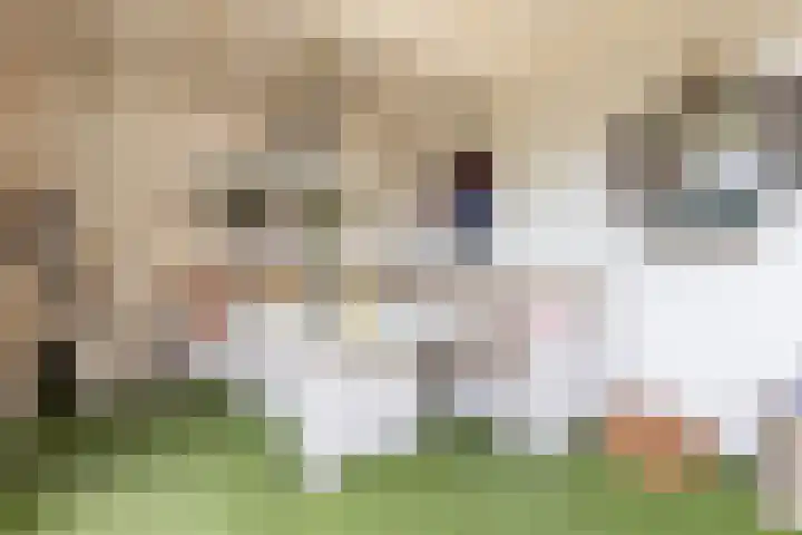 Meergraaf 19 Zoelen thumbnail 39