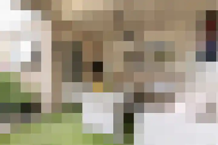 Meergraaf 19 Zoelen thumbnail 40