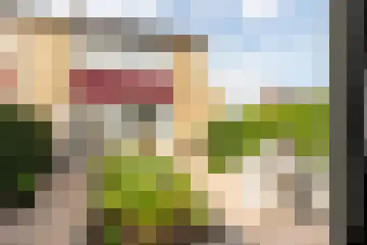 Meergraaf 19 Zoelen thumbnail 44
