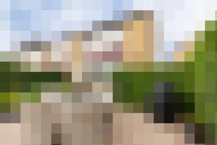 Meergraaf 19 Zoelen thumbnail 46
