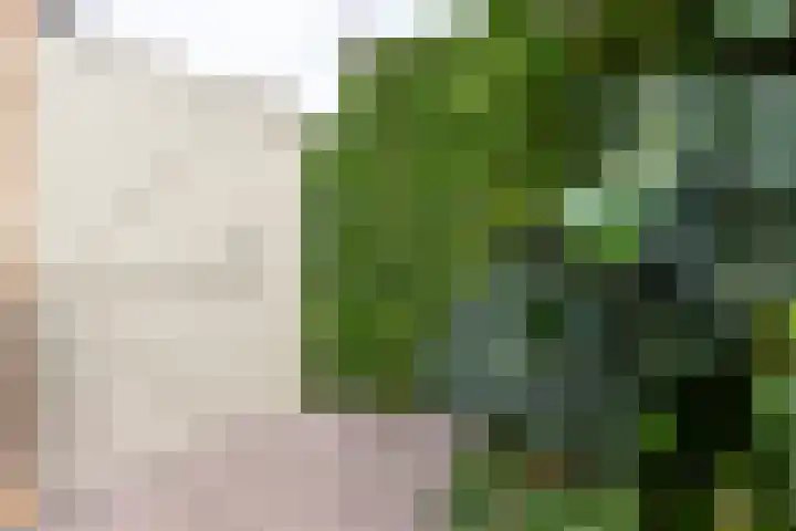 Meergraaf 19 Zoelen thumbnail 47