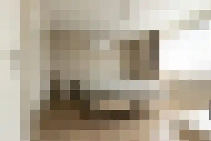 Meergraaf 19 Zoelen thumbnail 50