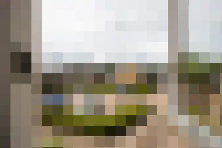 Meergraaf 19 Zoelen thumbnail 57