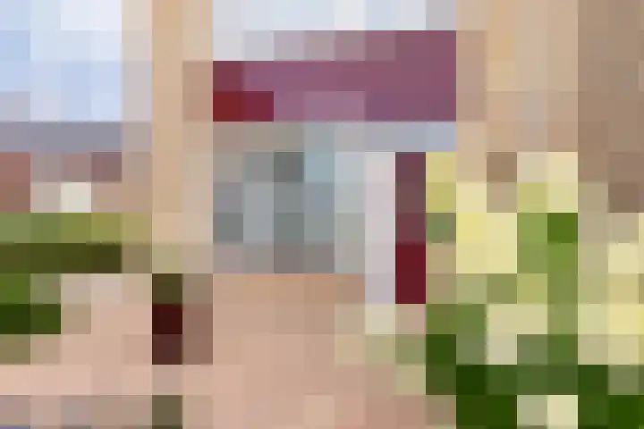 Meergraaf 19 Zoelen thumbnail 6