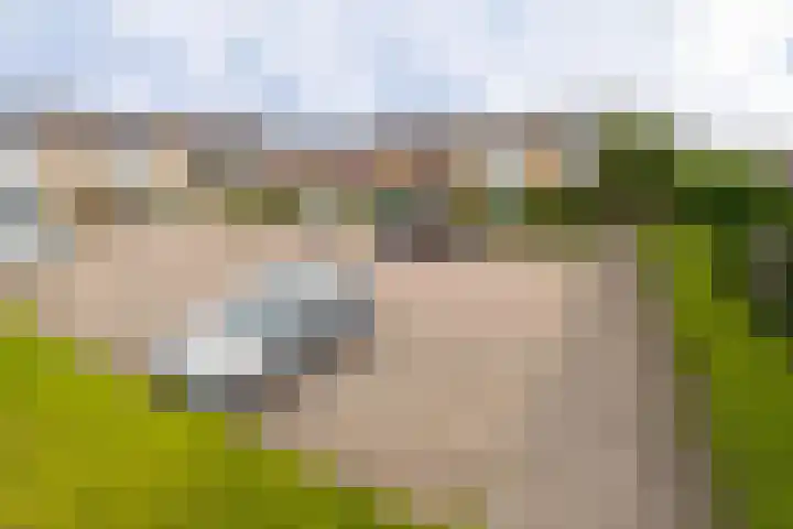 Meergraaf 19 Zoelen thumbnail 66