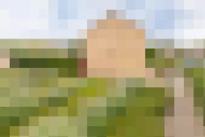 Meergraaf 19 Zoelen thumbnail 8