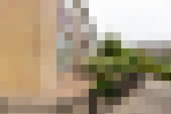 Meergraaf 19 Zoelen thumbnail 9
