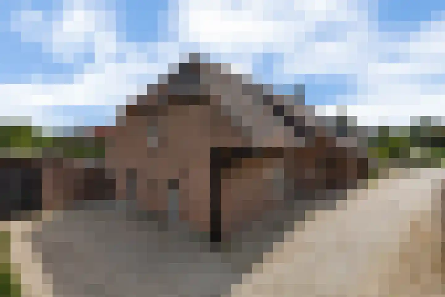 Meerhoek 12 in Genderen