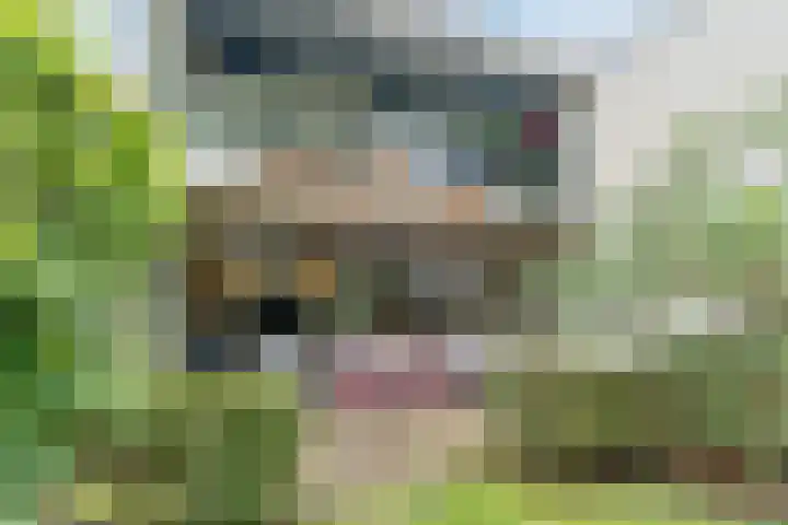 Meerhoek 207 Uden thumbnail 34