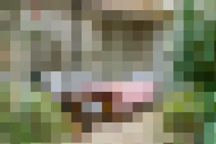 Meerhoek 207 Uden thumbnail 35