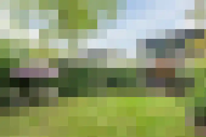 Meerhoek 207 Uden thumbnail 39