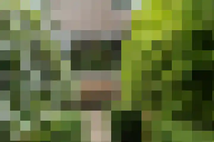 Meerhoek 207 Uden thumbnail 44