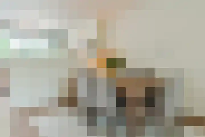 Meerhoek 207 Uden thumbnail 8