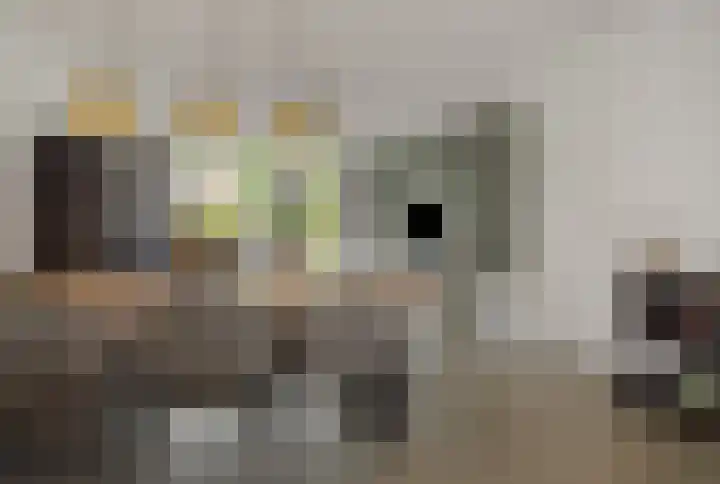 Meerkensloop 23 Heesch thumbnail 11