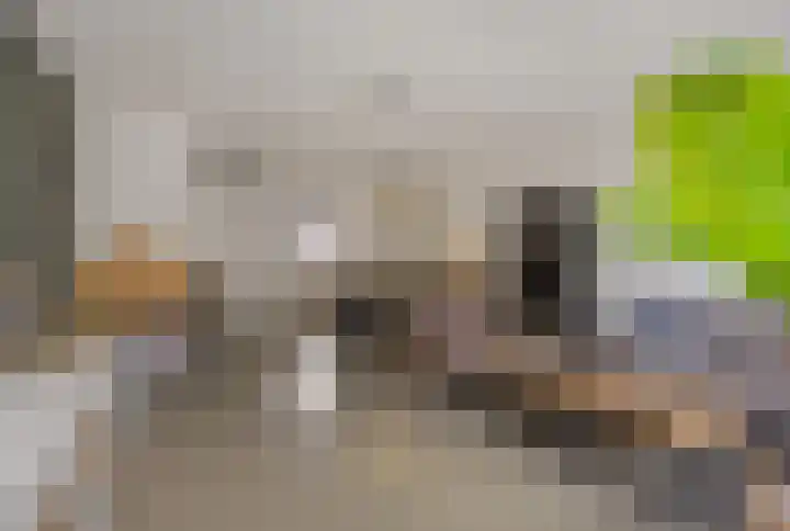 Meerkensloop 23 Heesch thumbnail 13