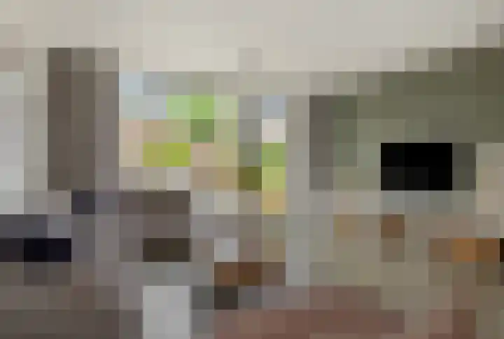 Meerkensloop 23 Heesch thumbnail 18