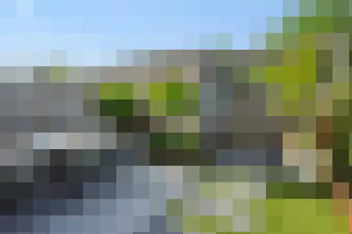 Meerkensloop 23 Heesch thumbnail 20