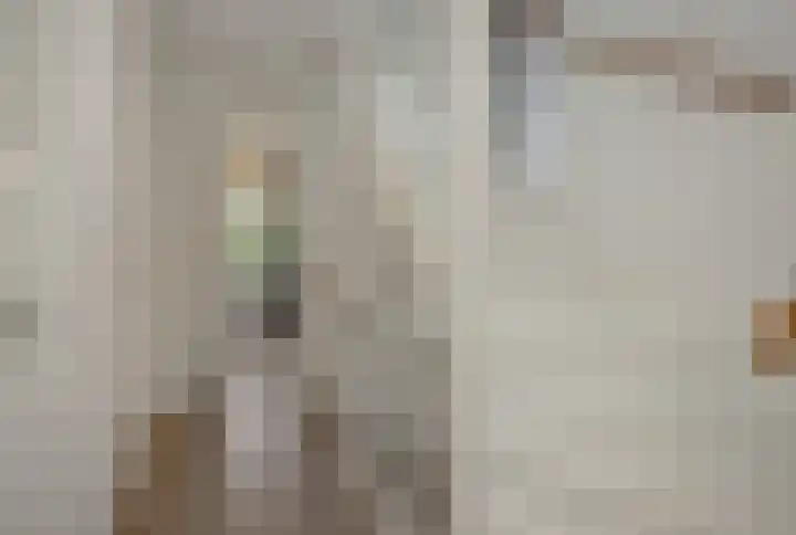 Meerkensloop 23 Heesch thumbnail 29