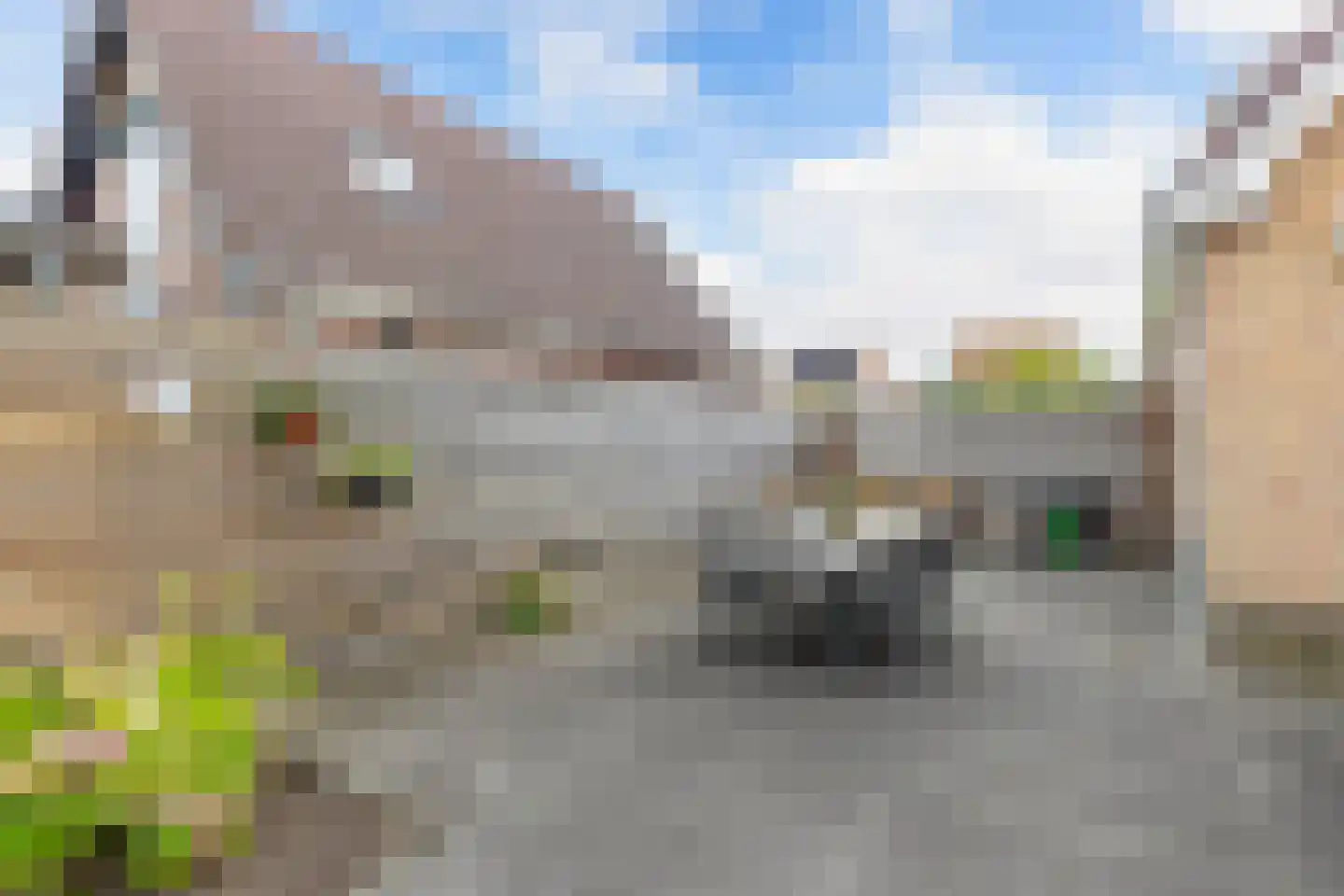 Meerkoet 16 Lemmer thumbnail 42