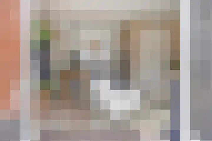 Meerkoet 17 Bedum thumbnail 12