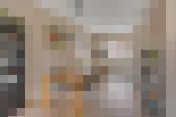 Meerkoet 17 Bedum thumbnail 13