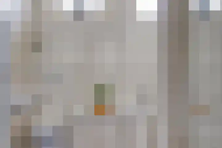 Meerkoet 17 Bedum thumbnail 20