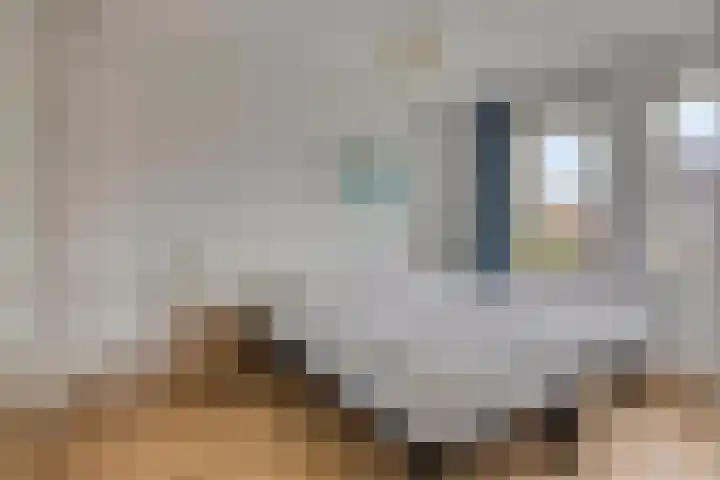 Meerkoet 17 Bedum thumbnail 24