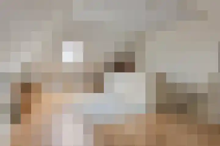 Meerkoet 17 Bedum thumbnail 27
