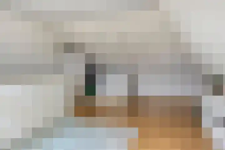 Meerkoet 17 Bedum thumbnail 28