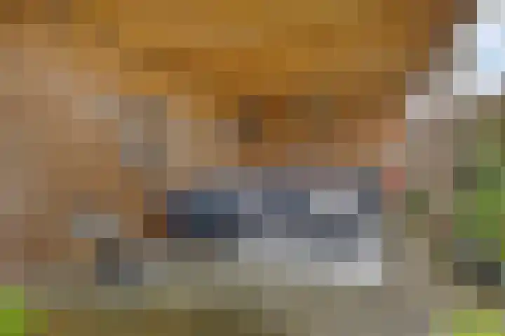 Meerkoet 17 Bedum thumbnail 32