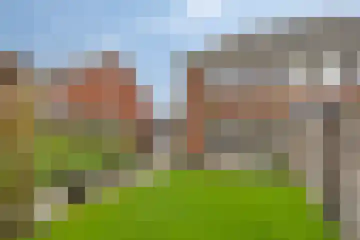 Meerkoet 17 Bedum thumbnail 33