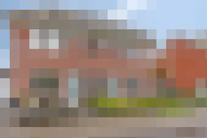 Meerkoet 17 Bedum thumbnail 4