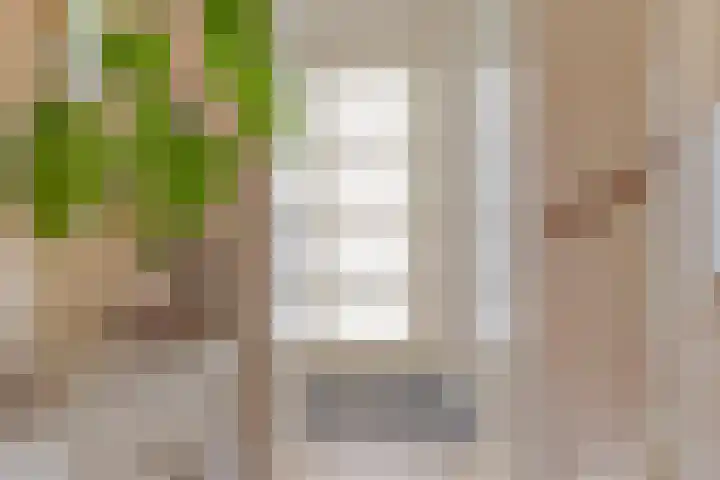 Meerkoet 17 Bedum thumbnail 7