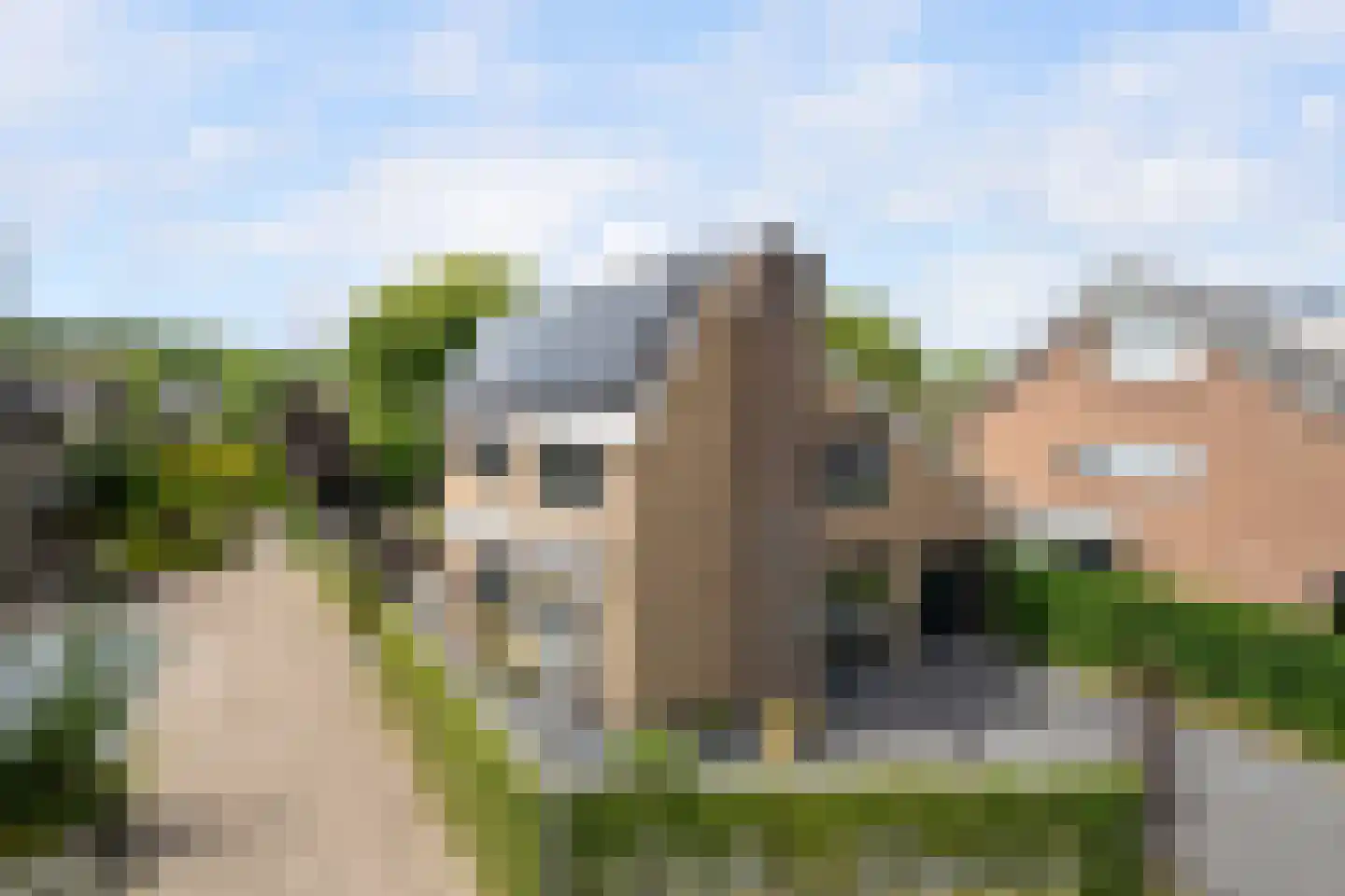 Meerkoet 26 Ridderkerk