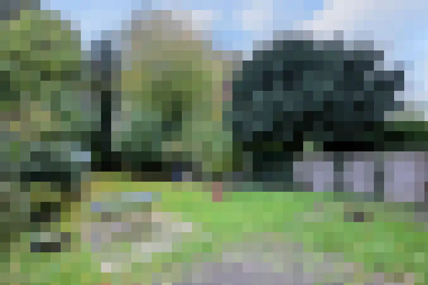 Meerkoet 30 Deventer thumbnail 27