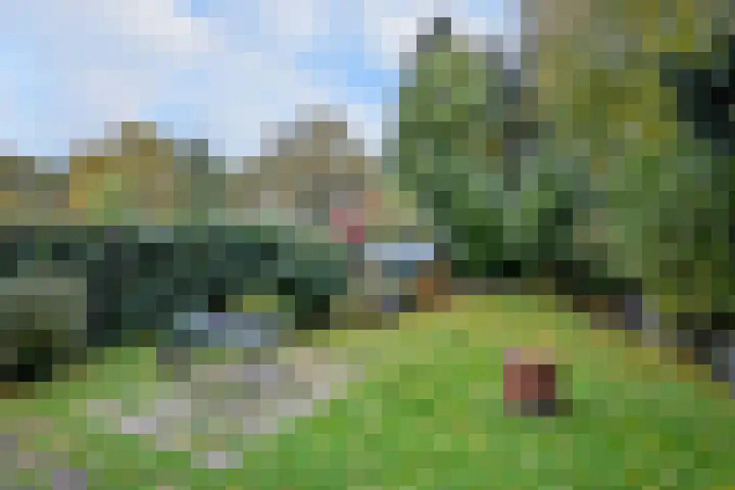 Meerkoet 30 Deventer thumbnail 28