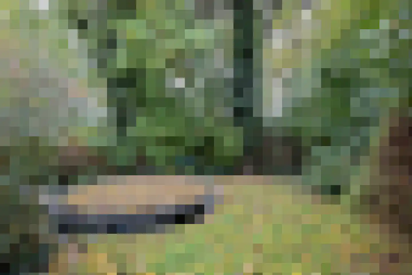 Meerkoet 30 Deventer thumbnail 29