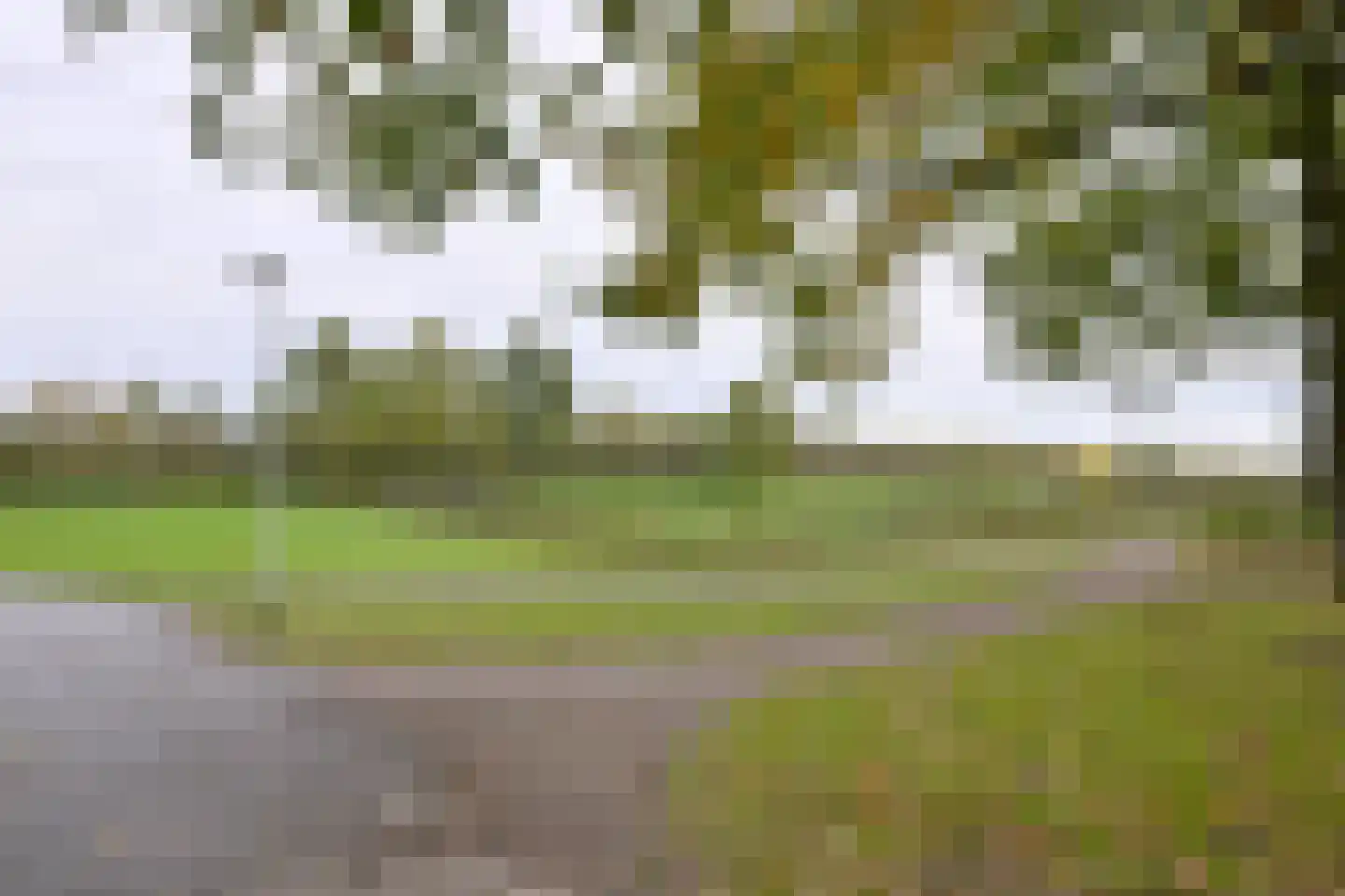 Meerkoet 30 Deventer thumbnail 32