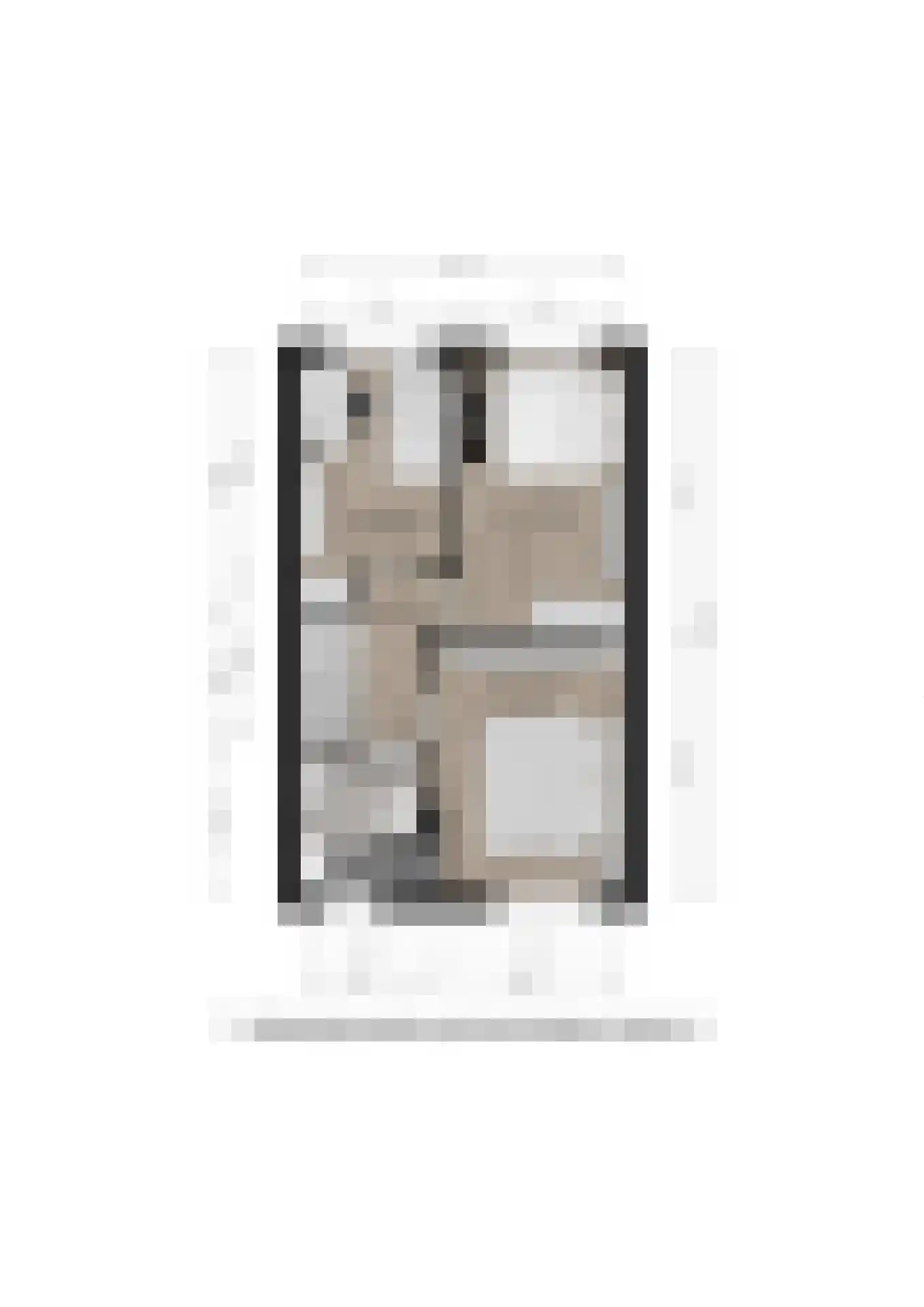 Meerkoet 30 Deventer thumbnail 35
